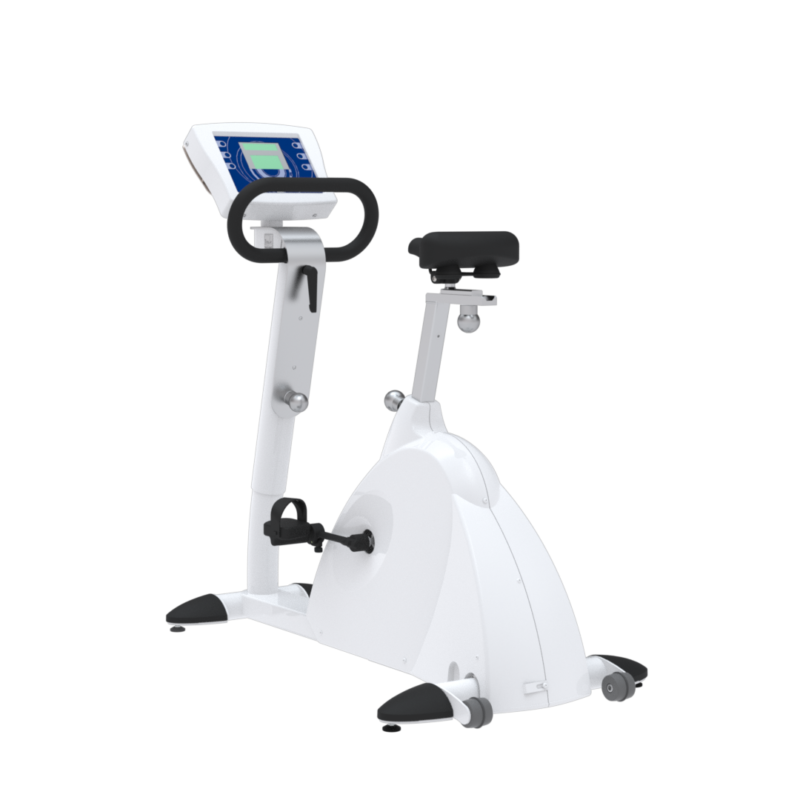 ergo life spin bike