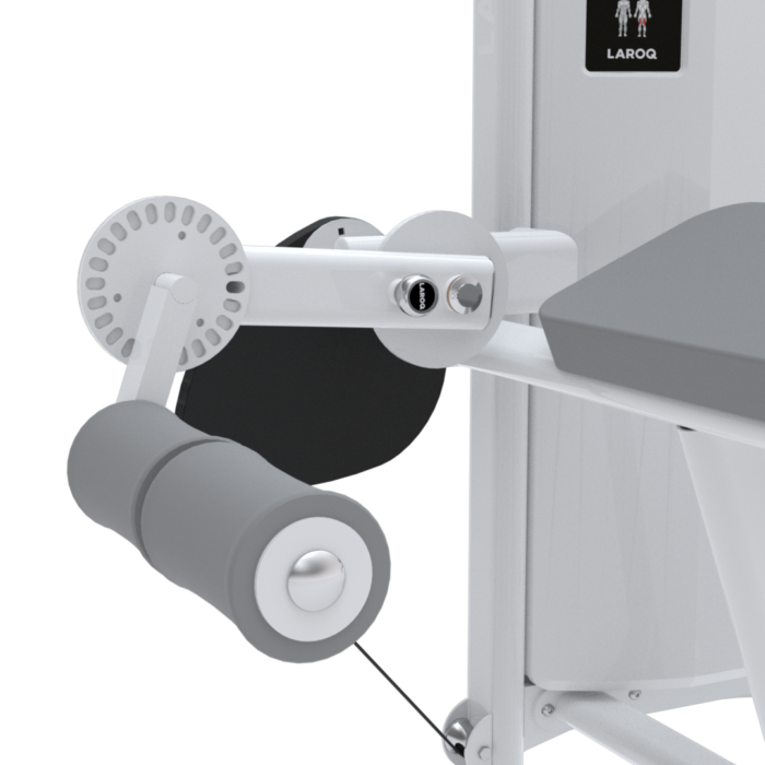 XFT33 – Image 4